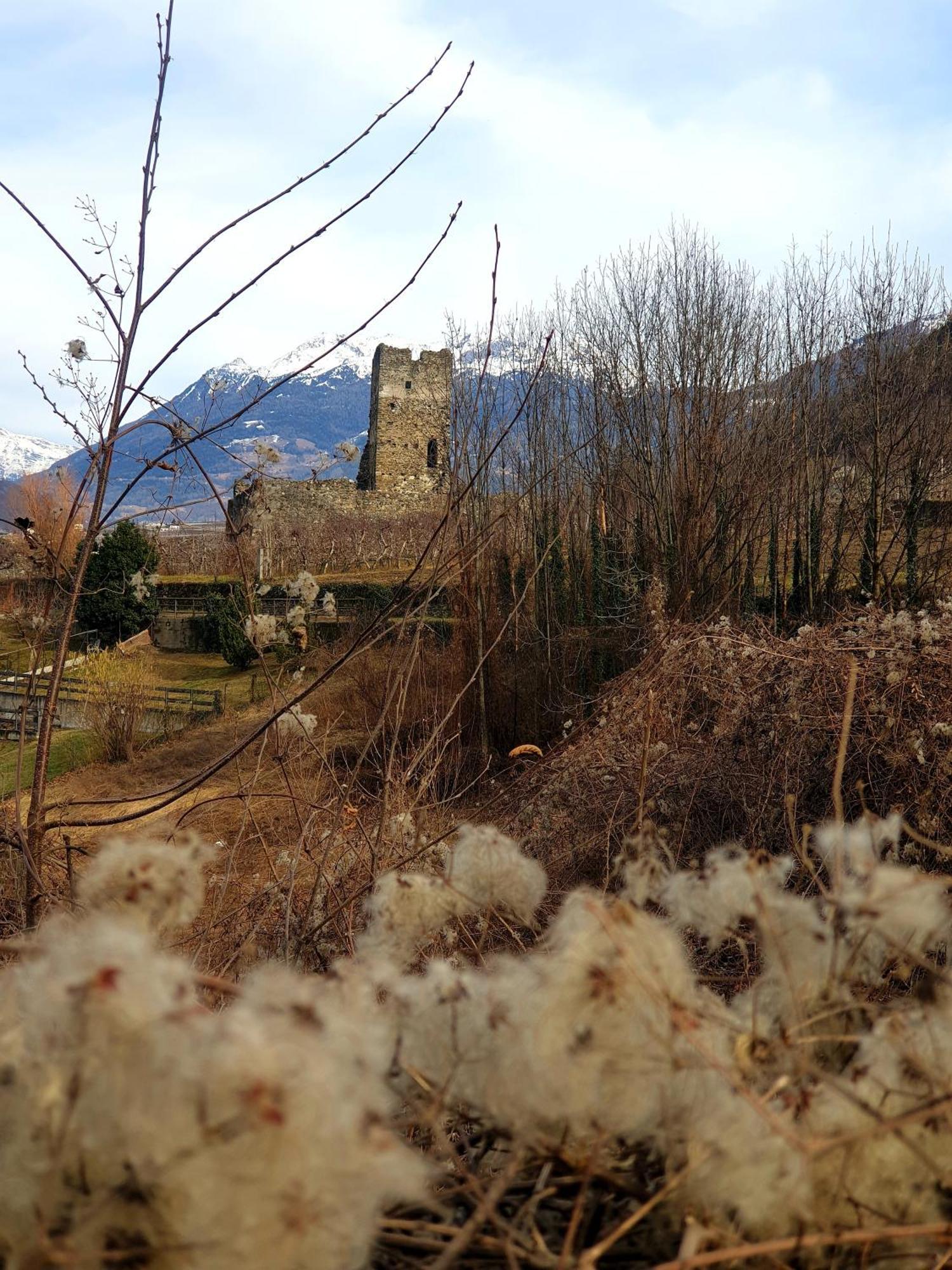 Appartamento Il Rosone Tirano Esterno foto